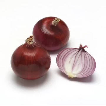 Selling chinese fresh red onion wholesale onion per ton price